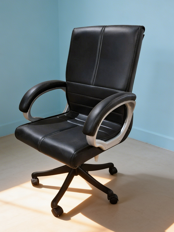Parak Pervino Ergonomic Support Medium Back Chair