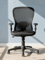 Parak Valtrano Executive Medium Back Chair