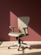 Parak Graxon Plush Medium Back Chair