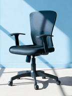 Parak Averon Premium Medium Back Chair