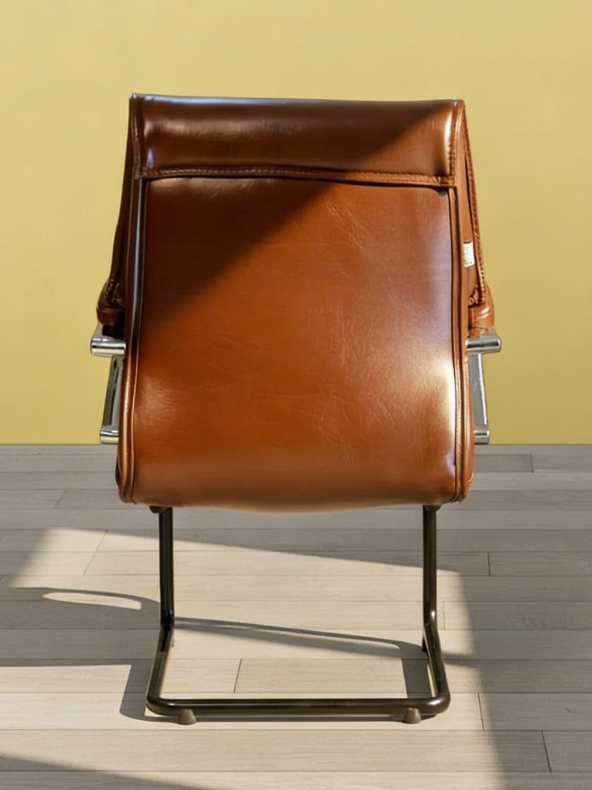 Parak Virex Executive Visitor Chair