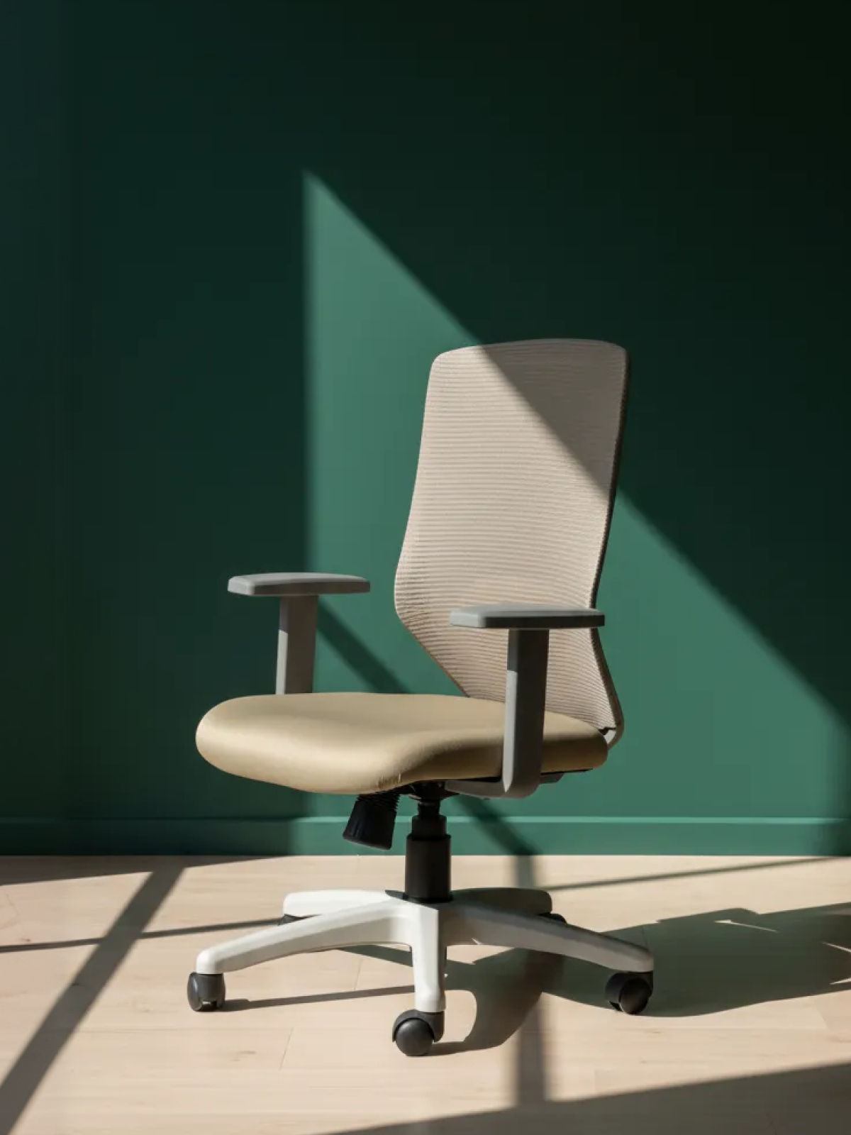 Parak Wervix Premium Build Medium Back Chair