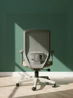 Parak Wervix Premium Build Medium Back Chair