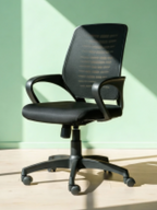 Parak Lextura Comfort Chair