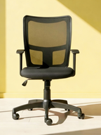 Parak Dynvero Comfort Chair