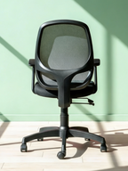 Parak Zynaro Medium Back Chair