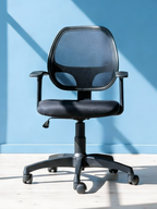 Parak Dynexis Plus Low Back Chair
