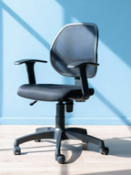 Parak Dynexis Plus Low Back Chair