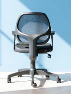 Parak Dynexis Plus Low Back Chair
