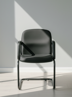 Parak Stravex Visitor Chair