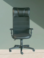 Parak Deltrix Ergonomic High Back Chair