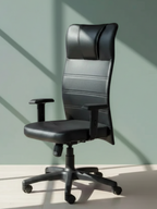 Parak Deltrix Ergonomic High Back Chair