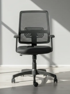 Parak Nerox Cushioned Medium Back Chair