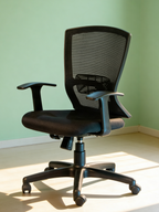 Parak Ivoro Comfort Plus Medium Back Chair