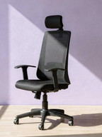 Parak Aurelo Premium High Back Chair