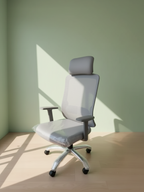 Parak Nerox Cushioned High Back Chair