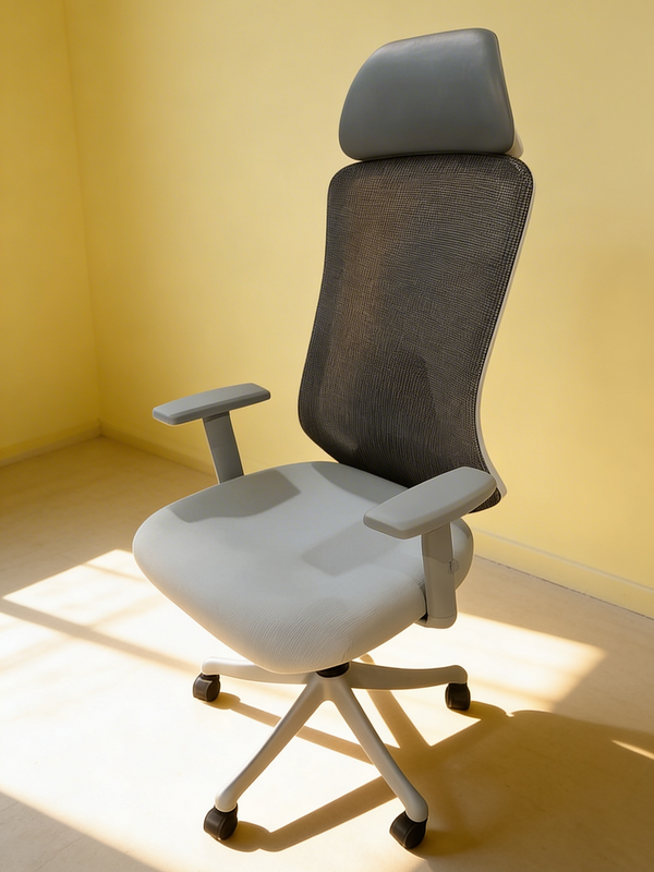 Parak Prevox Ergonomic Support High Back Chair